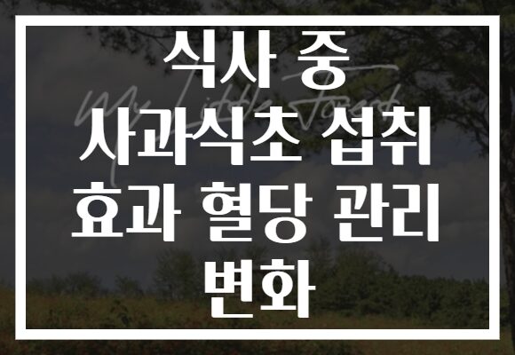 식사 중 사과식초 섭취 효과 혈당 관리 변화