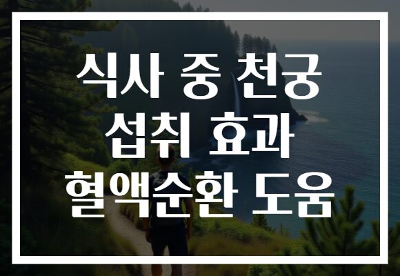 식사 중 천궁 섭취 효과 혈액순환 도움