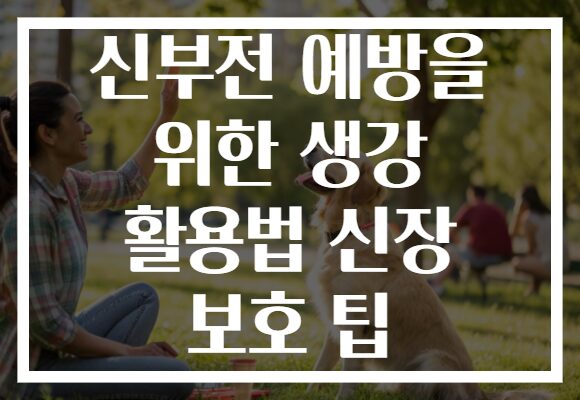 신부전 예방을 위한 생강 활용법 신장 보호 팁
