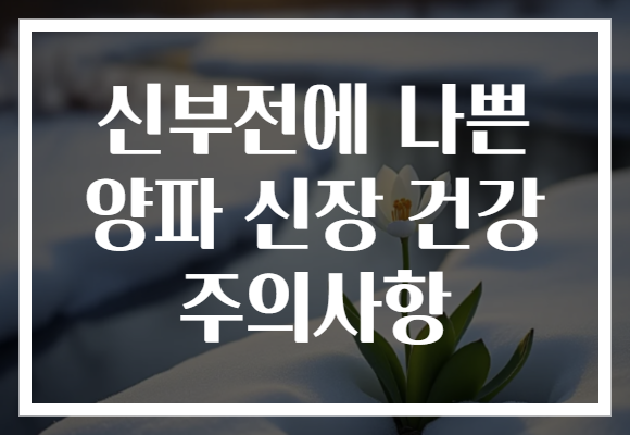 신부전에 나쁜 양파 신장 건강 주의사항