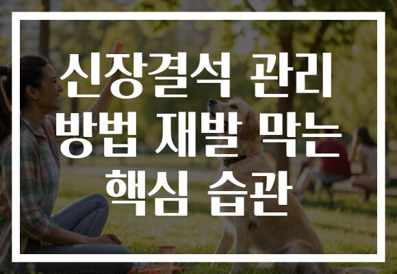 신장결석 관리 방법 재발 막는 핵심 습관