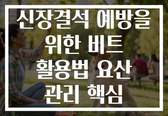 신장결석 예방을 위한 비트 활용법 요산 관리 핵심