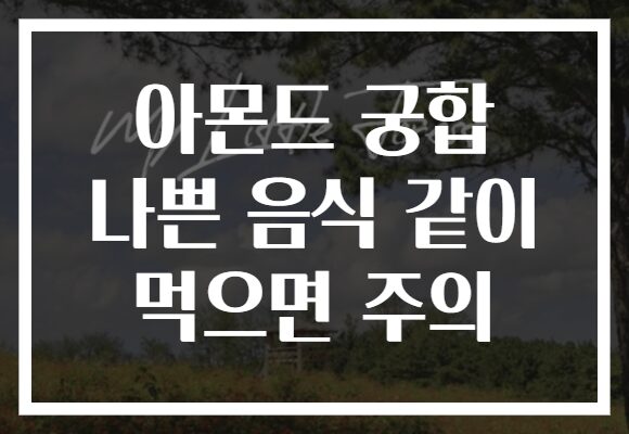 아몬드 궁합 나쁜 음식 같이 먹으면 주의