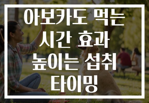 아보카도 먹는 시간 효과 높이는 섭취 타이밍