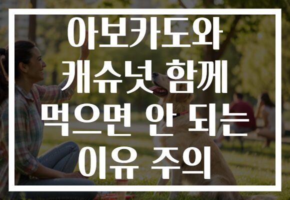 아보카도와 캐슈넛 함께 먹으면 안 되는 이유 주의