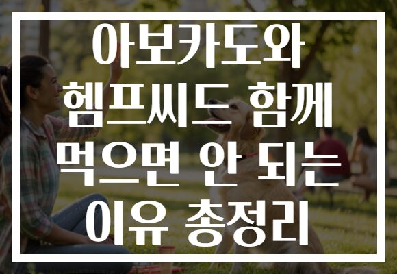 아보카도와 헴프씨드 함께 먹으면 안 되는 이유 총정리