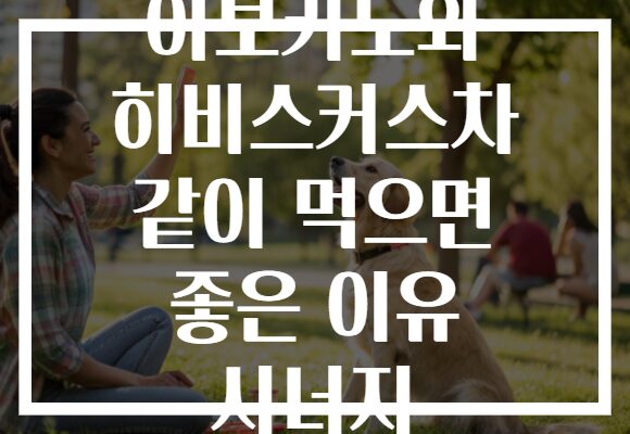 아보카도와 히비스커스차 같이 먹으면 좋은 이유 시너지