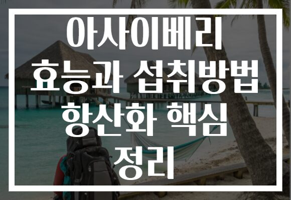 아사이베리 효능과 섭취방법 항산화 핵심 정리