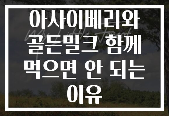 아사이베리와 골든밀크 함께 먹으면 안 되는 이유