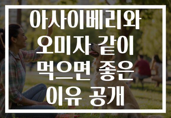 아사이베리와 오미자 같이 먹으면 좋은 이유 공개