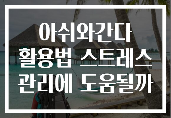 아쉬와간다 활용법 스트레스 관리에 도움될까