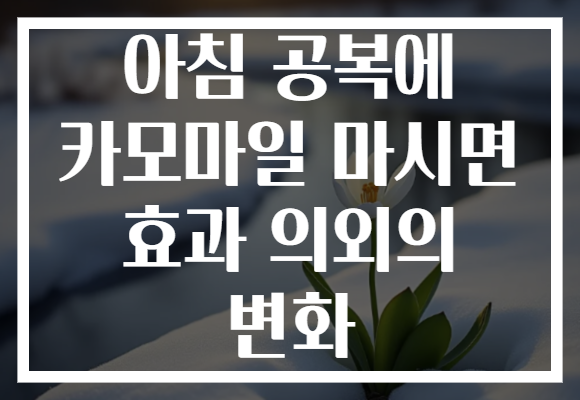 아침 공복에 카모마일 마시면 효과 의외의 변화