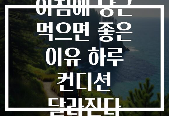 아침에 당근 먹으면 좋은 이유 하루 컨디션 달라진다