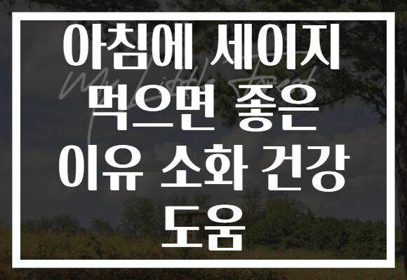 아침에 세이지 먹으면 좋은 이유 소화 건강 도움
