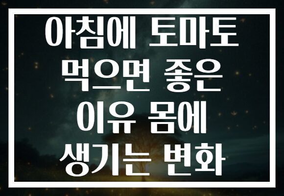 아침에 토마토 먹으면 좋은 이유 몸에 생기는 변화