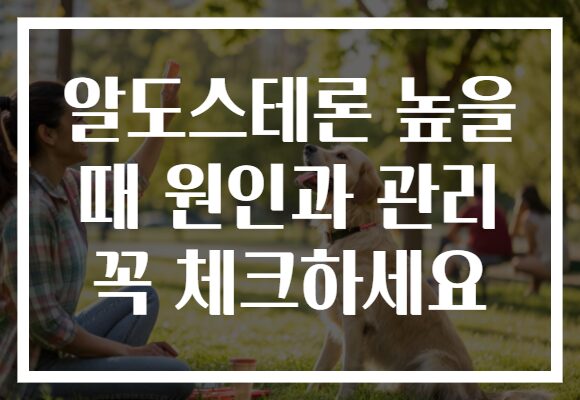 알도스테론 높을 때 원인과 관리 꼭 체크하세요