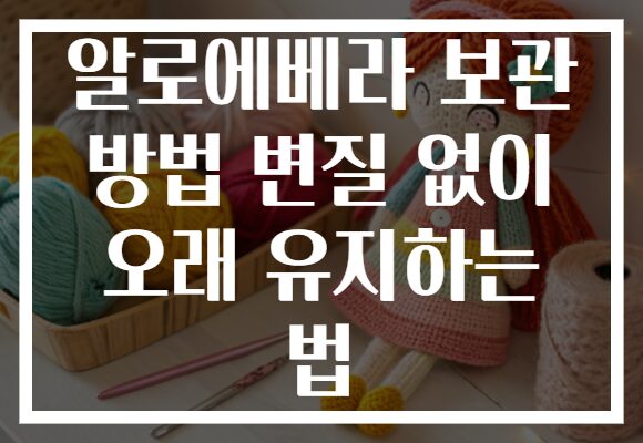 알로에베라 보관 방법 변질 없이 오래 유지하는 법