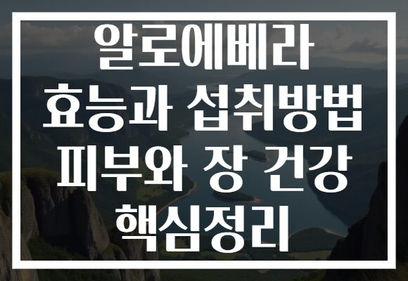 알로에베라 효능과 섭취방법 피부와 장 건강 핵심정리