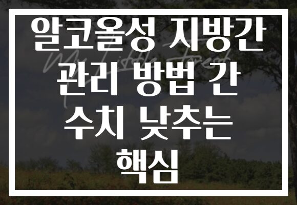 알코올성 지방간 관리 방법 간 수치 낮추는 핵심