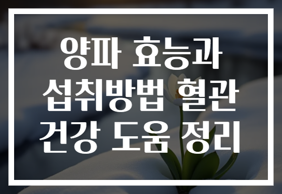 양파 효능과 섭취방법 혈관 건강 도움 정리