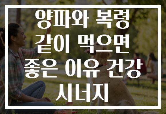 양파와 복령 같이 먹으면 좋은 이유 건강 시너지