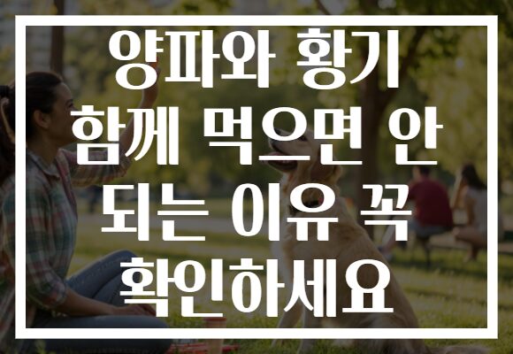 양파와 황기 함께 먹으면 안 되는 이유 꼭 확인하세요