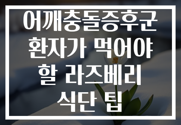 어깨충돌증후군 환자가 먹어야 할 라즈베리 식단 팁