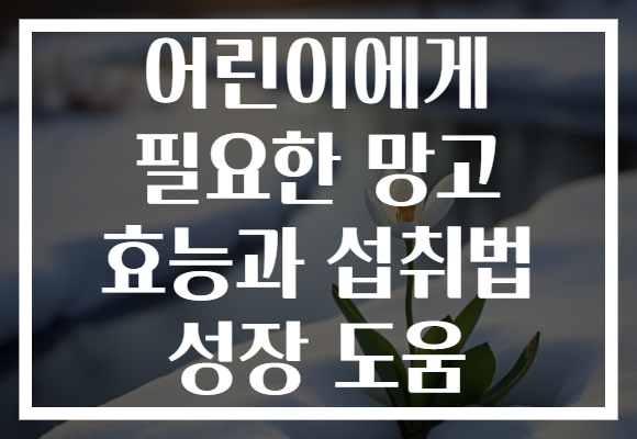 어린이에게 필요한 망고 효능과 섭취법 성장 도움