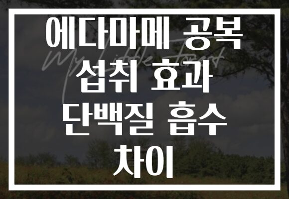 에다마메 공복 섭취 효과 단백질 흡수 차이