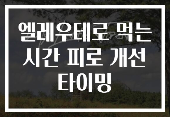 엘레우테로 먹는 시간 피로 개선 타이밍