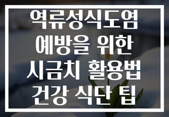 역류성식도염 예방을 위한 시금치 활용법 건강 식단 팁