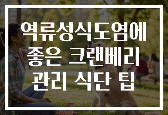역류성식도염에 좋은 크랜베리 관리 식단 팁