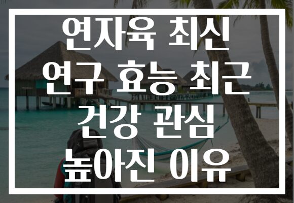 연자육 최신 연구 효능 최근 건강 관심 높아진 이유