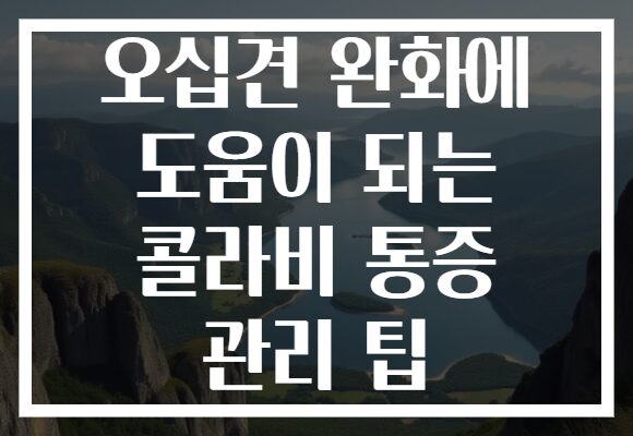 오십견 완화에 도움이 되는 콜라비 통증 관리 팁