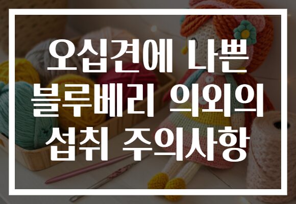 오십견에 나쁜 블루베리 의외의 섭취 주의사항