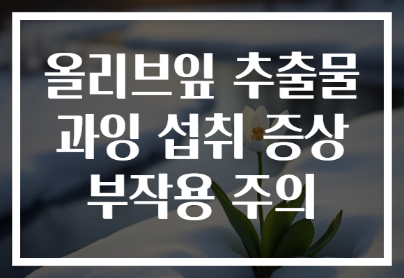올리브잎 추출물 과잉 섭취 증상 부작용 주의