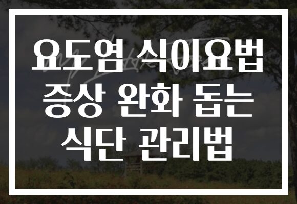 요도염 식이요법 증상 완화 돕는 식단 관리법