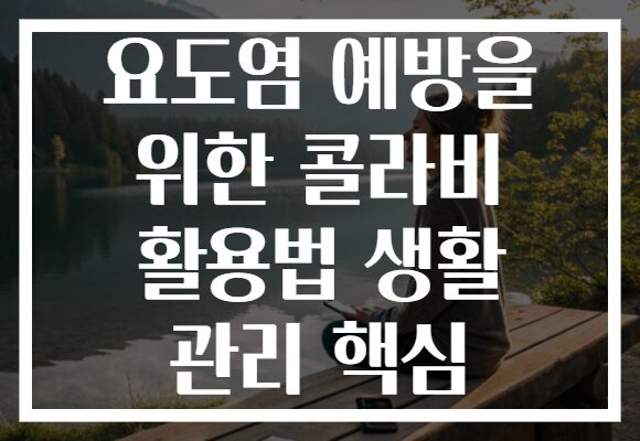 요도염 예방을 위한 콜라비 활용법 생활 관리 핵심
