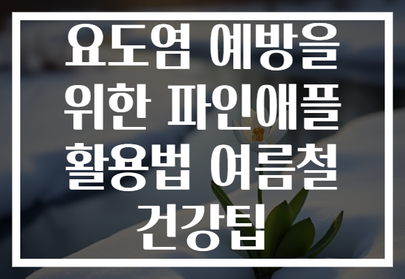 요도염 예방을 위한 파인애플 활용법 여름철 건강팁