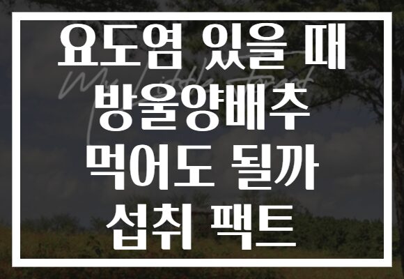 요도염 있을 때 방울양배추 먹어도 될까 섭취 팩트