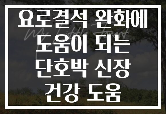 요로결석 완화에 도움이 되는 단호박 신장 건강 도움