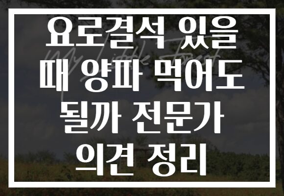 요로결석 있을 때 양파 먹어도 될까 전문가 의견 정리