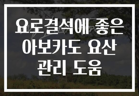 요로결석에 좋은 아보카도 요산 관리 도움