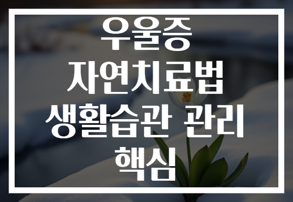 우울증 자연치료법 생활습관 관리 핵심