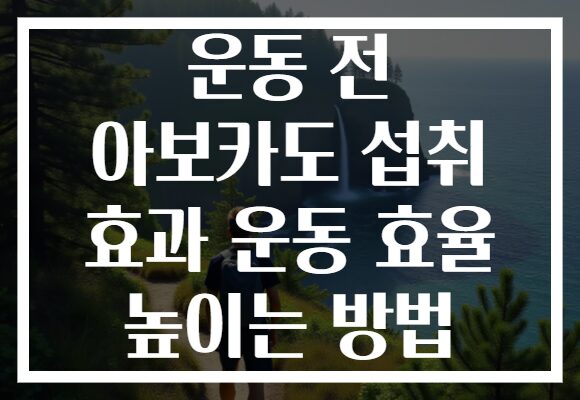 운동 전 아보카도 섭취 효과 운동 효율 높이는 방법