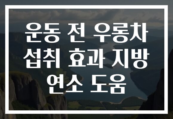 운동 전 우롱차 섭취 효과 지방 연소 도움