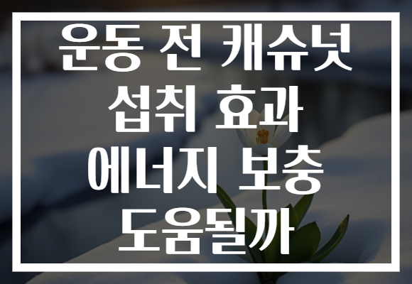 운동 전 캐슈넛 섭취 효과 에너지 보충 도움될까