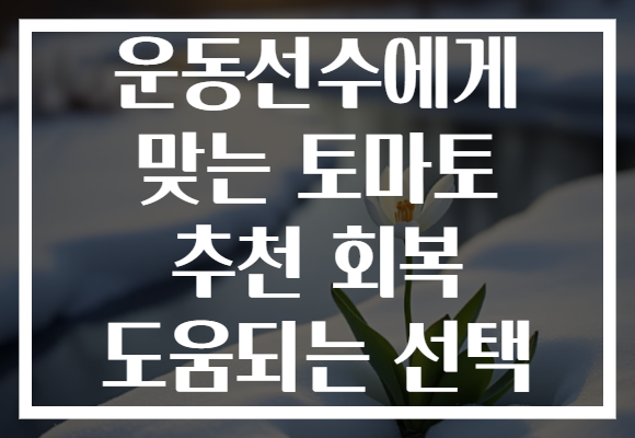 운동선수에게 맞는 토마토 추천 회복 도움되는 선택