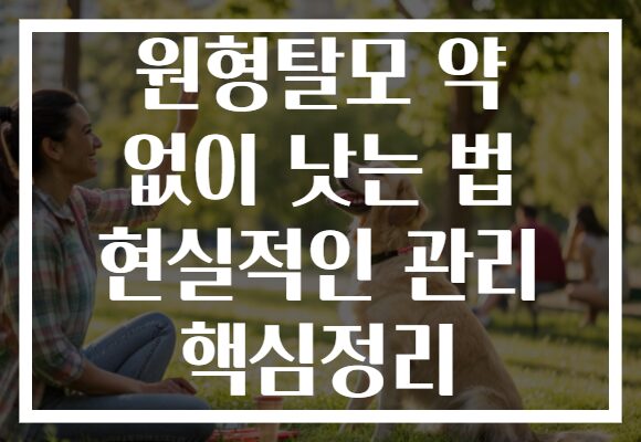 원형탈모 약 없이 낫는 법 현실적인 관리 핵심정리