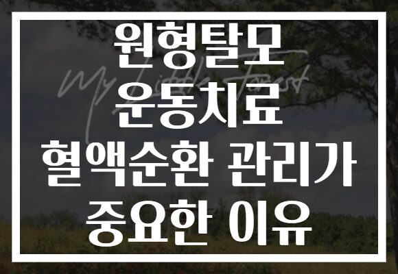 원형탈모 운동치료 혈액순환 관리가 중요한 이유